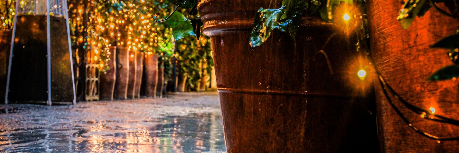 fran_rocio's profile banner image