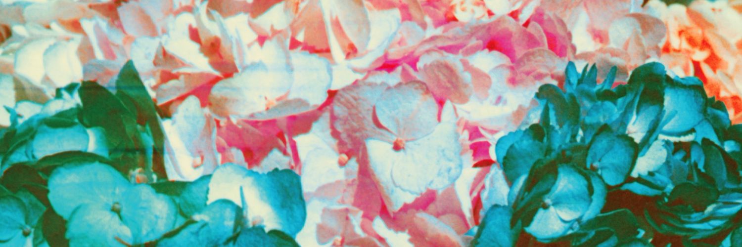 stefibouchet's profile banner image