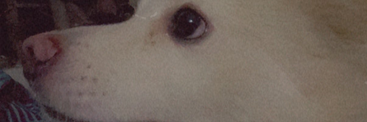 Kepsy118's profile banner image