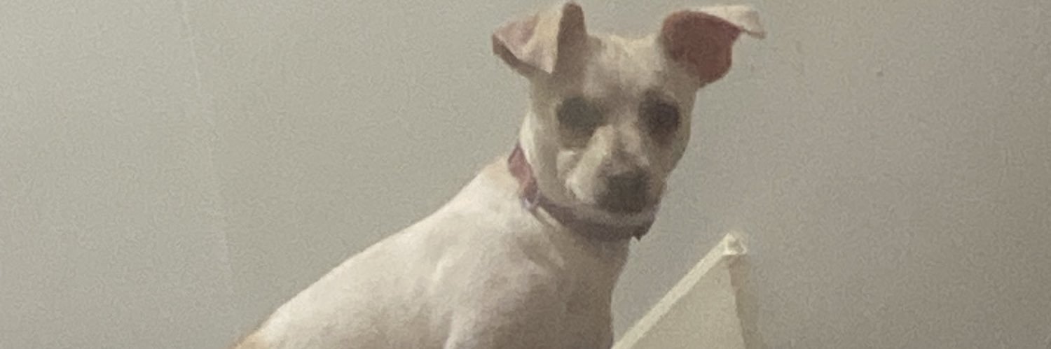 Ginggzz's profile banner image