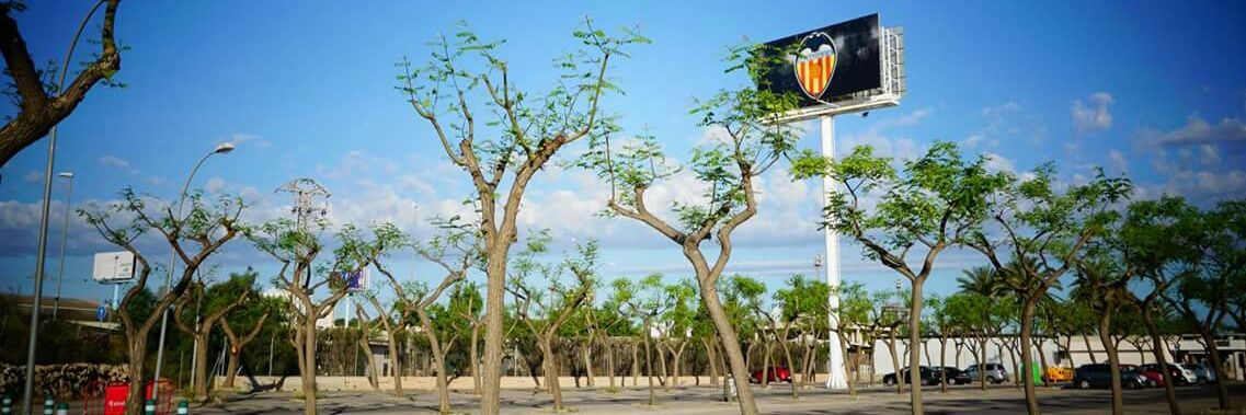 VCFThai's profile banner image