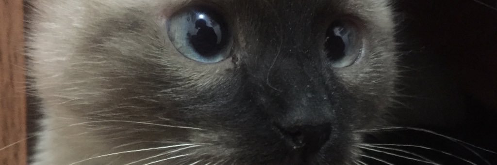 cchuemon's profile banner image