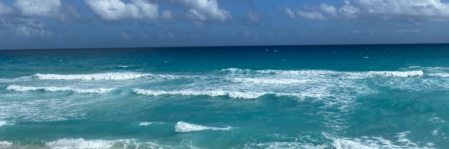 BeachPlease801's profile banner image