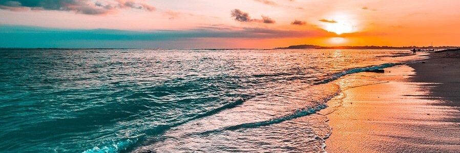 martasalgado9's profile banner image