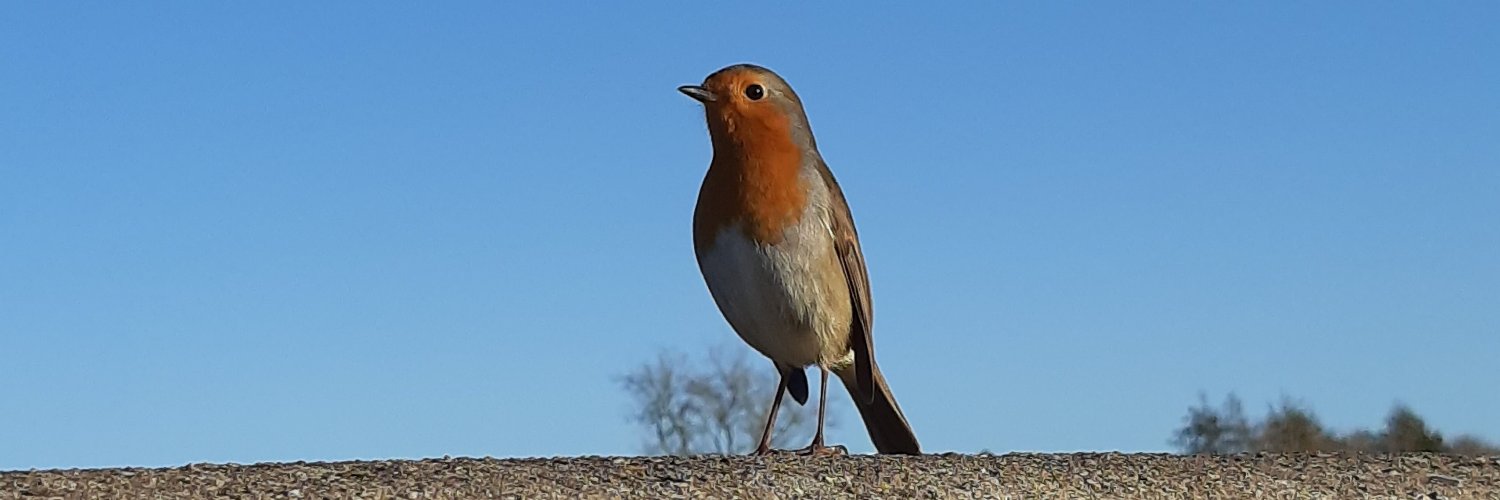 WildlifeDefence banner