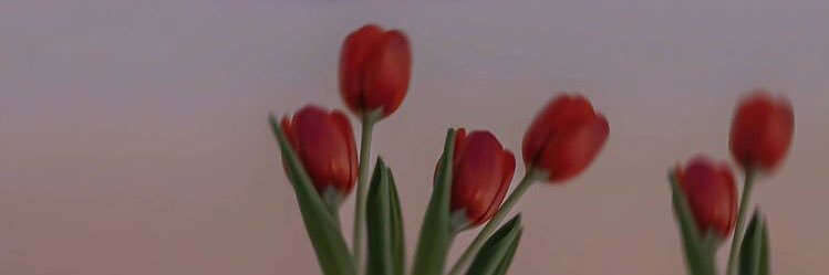 Puii_Pp's profile banner image