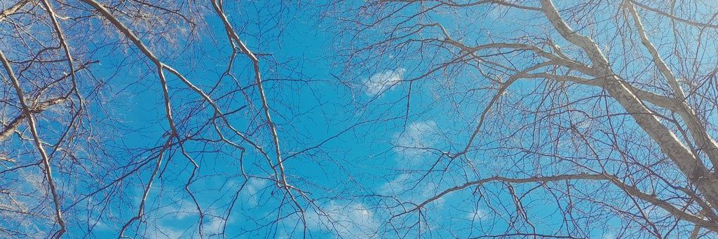 inalfia's profile banner image