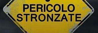 fportolano's profile banner image