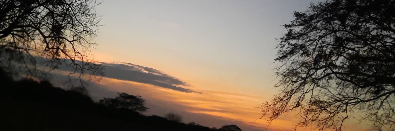 thaliam07's profile banner image