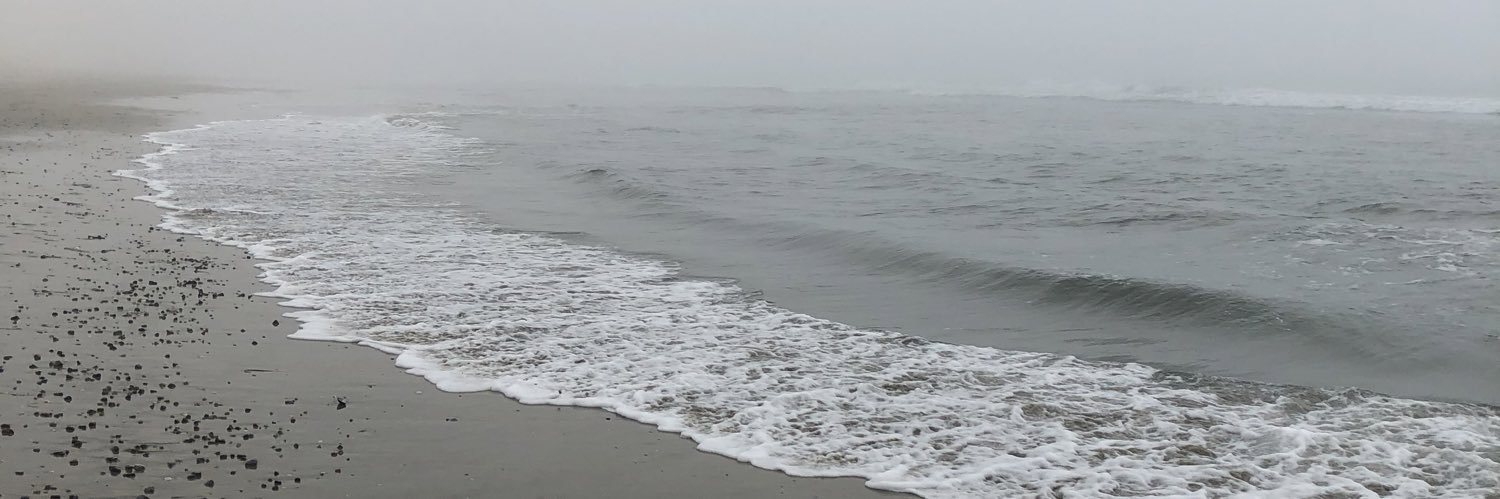 Barbmitche's profile banner image