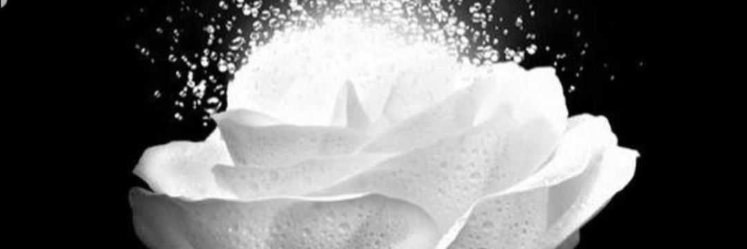 slimphaith's profile banner image