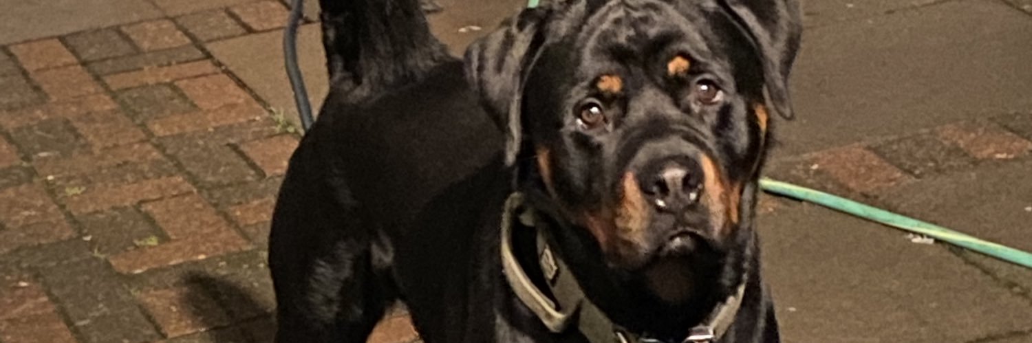 Ral__21's profile banner image