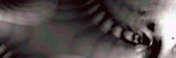 nothingkitten's profile banner image