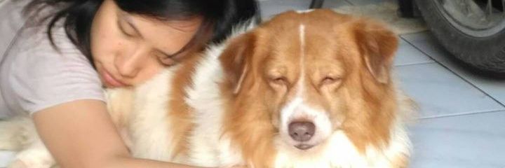ochi_lee's profile banner image