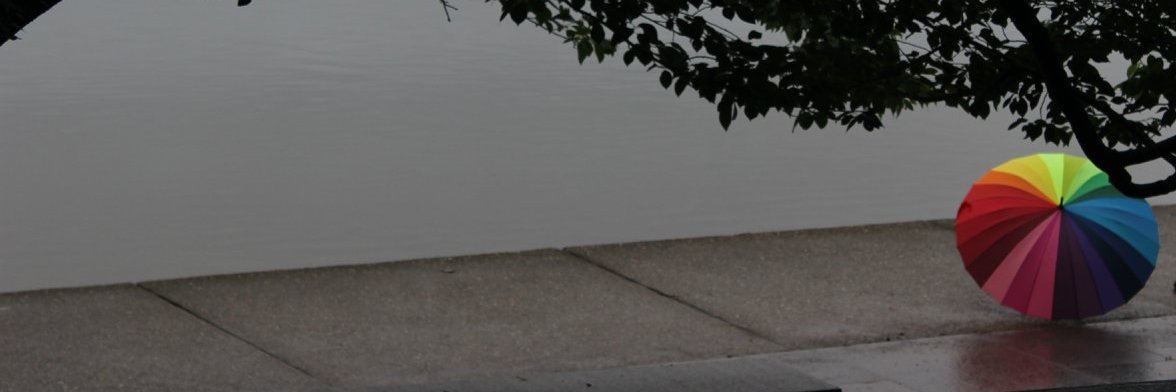 Rachel Miller (she/her) 🌈 banner