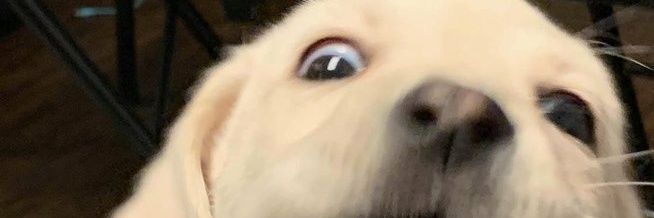VVictorhmp's profile banner image