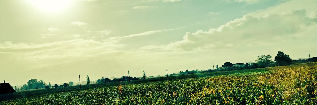 jonesk11's profile banner image