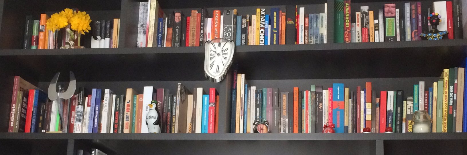 Fabiana Pulcineli banner