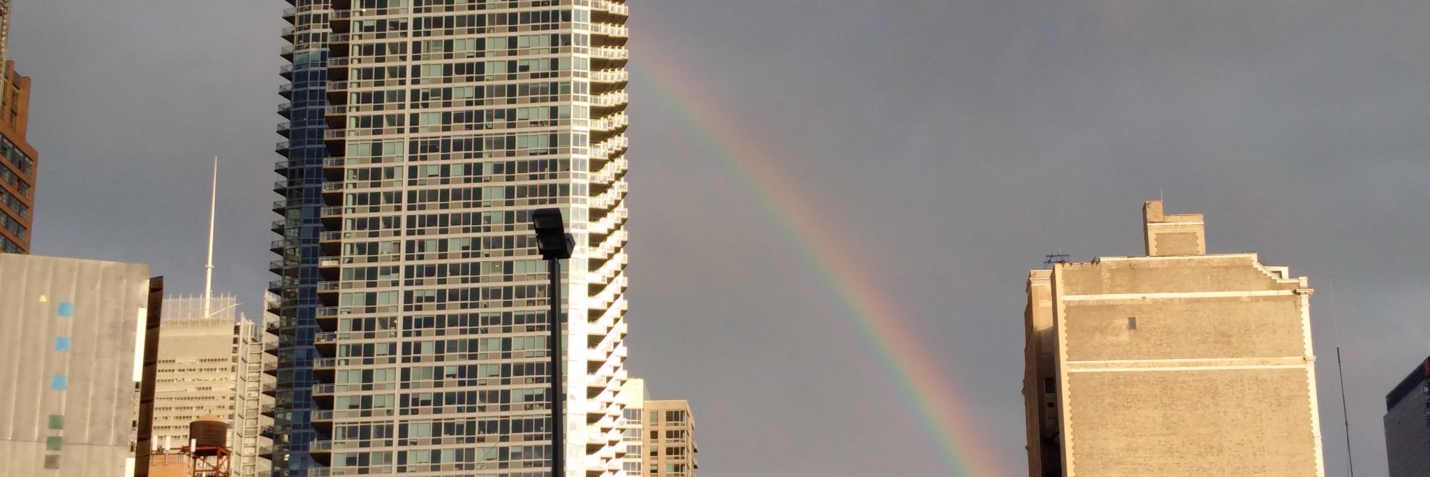 Timothy Doctor banner