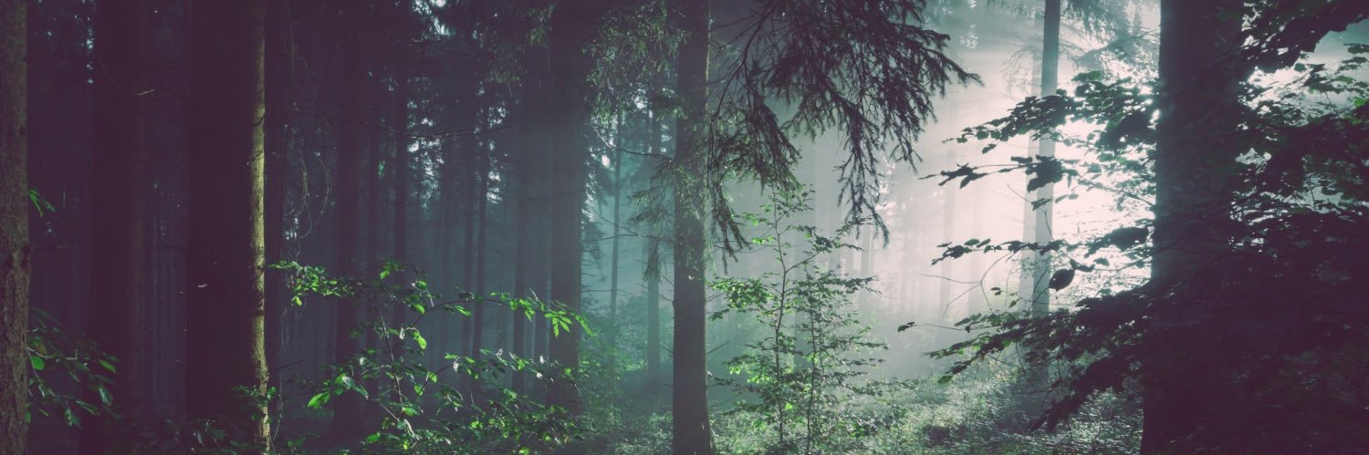 Hempi08's profile banner image