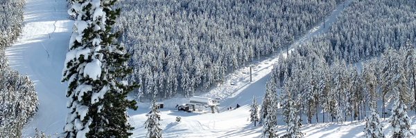 portdelcomte Profile Banner