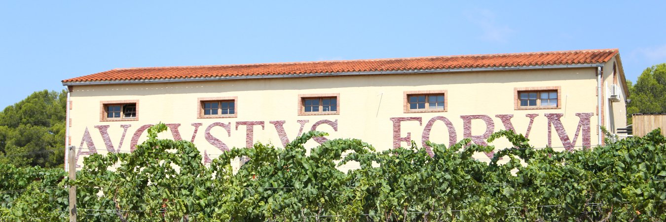 Avgvstvs Forvm banner