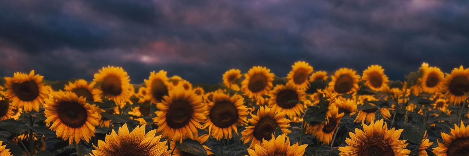 _albx_ls's profile banner image