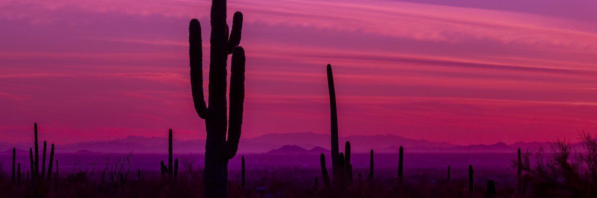 BFFotography's profile banner image