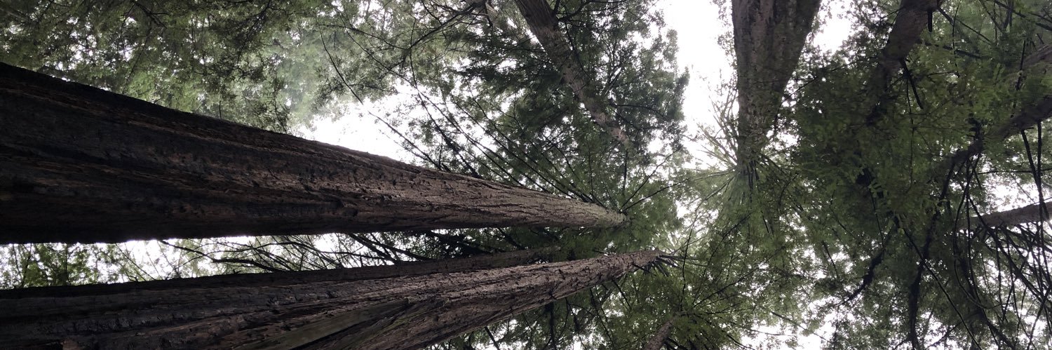 ChristineP's banner