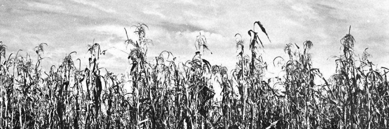 MariaGilMen's profile banner image