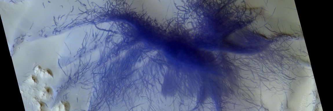 ExoMars orbiter banner