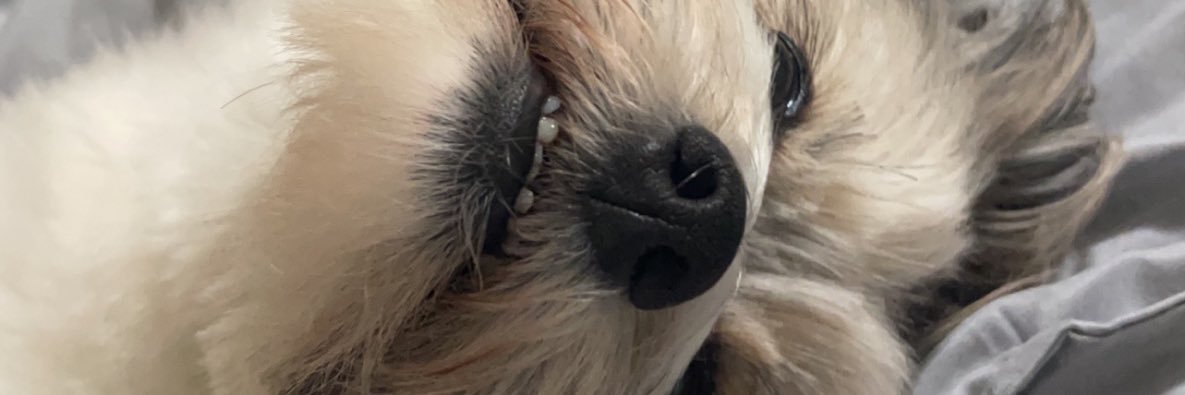 mstokes96's profile banner image