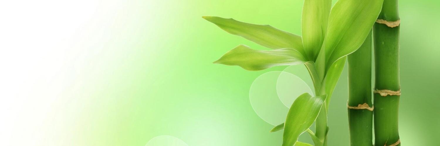 Jose F. Parodi MD PhD MPH banner