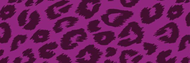 Shelbug21's profile banner image
