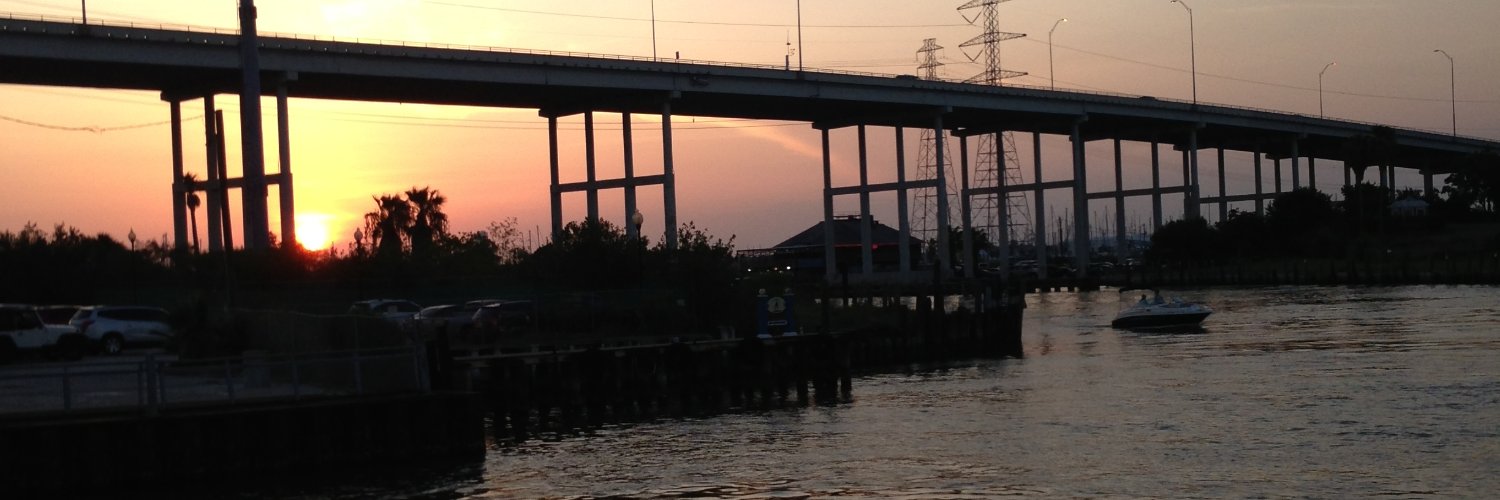 Andy Horka 🇺🇸 banner