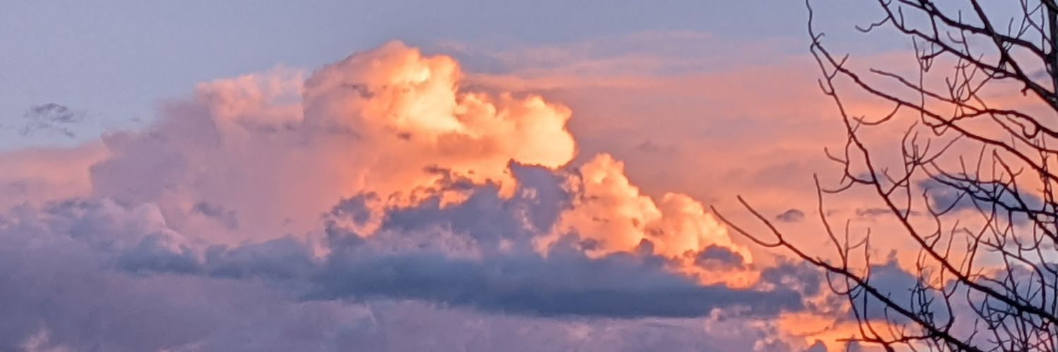 KellyDykstra1's profile banner image