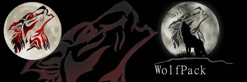 DaytonWolfpack's profile banner image