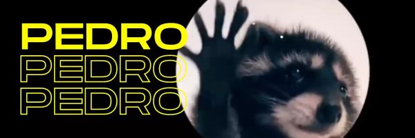 comboydapejeta Profile Banner