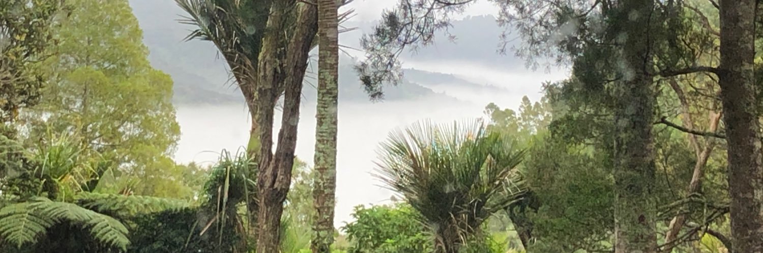 ScouldingIan's profile banner image