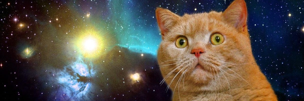 caganyasa's profile banner image