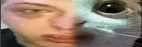 sillymofo2001ℹ banner