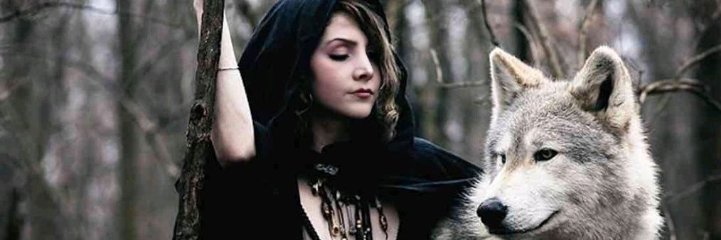 SageSpiritWolf's profile banner image