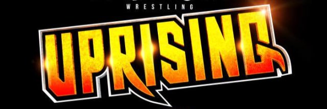 AbsoluteWrestle's profile banner image
