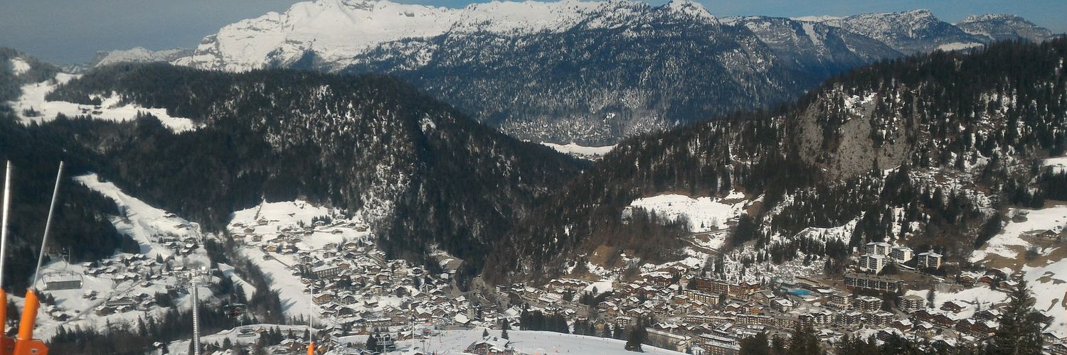 Dominique Filippone banner