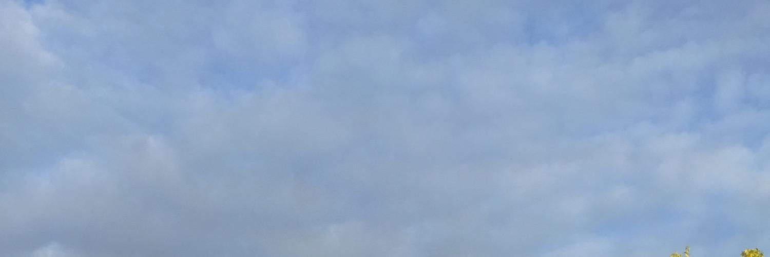 ClemDzt's profile banner image