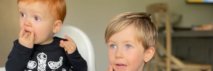 david knowles banner