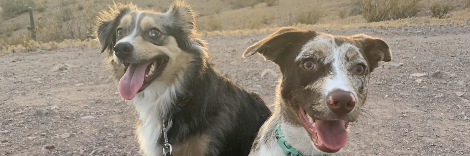 TheDWaller's profile banner image