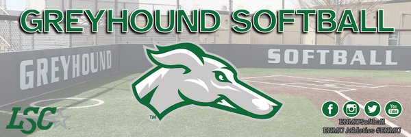 ENMUSoftball Profile Banner
