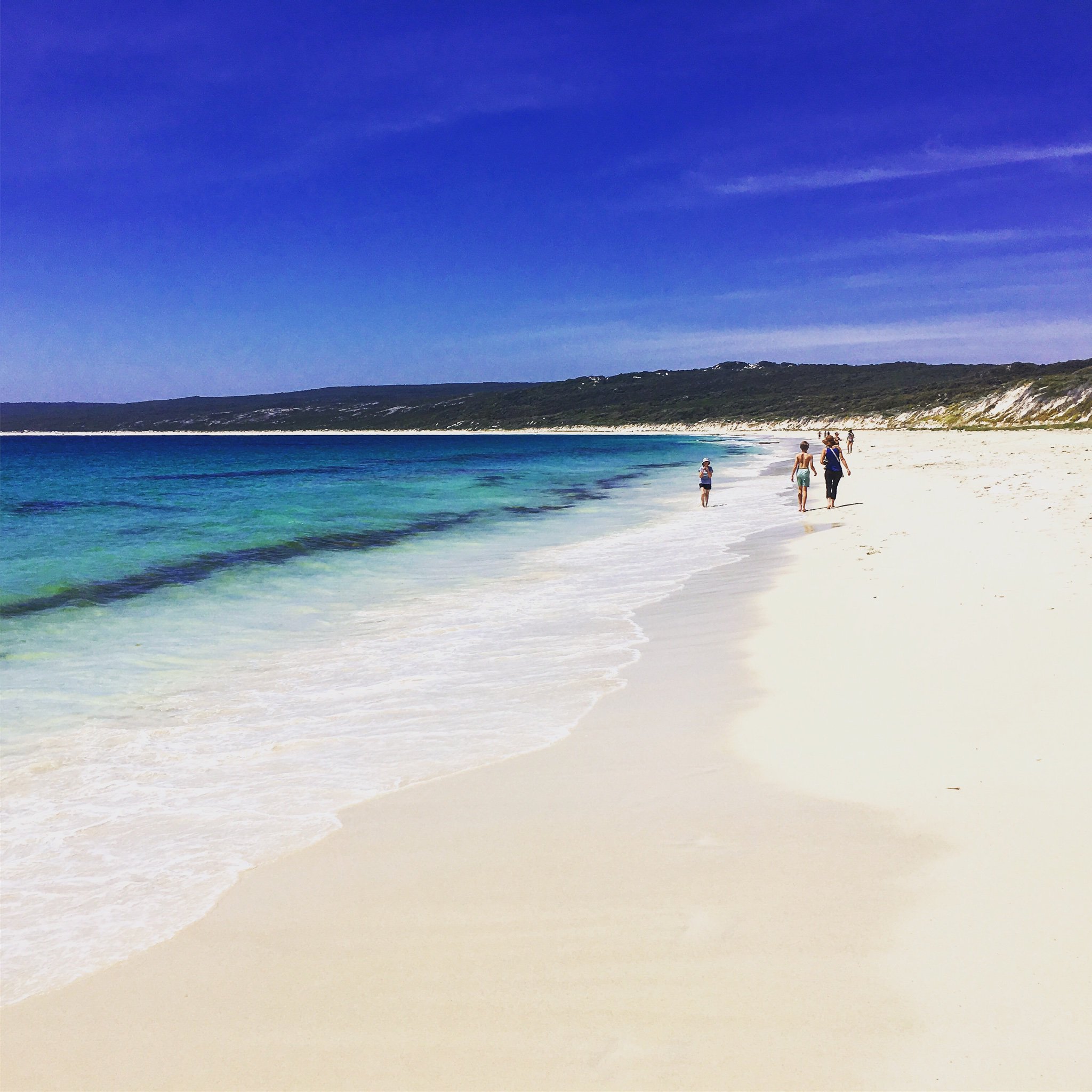 Steve Lindner banner