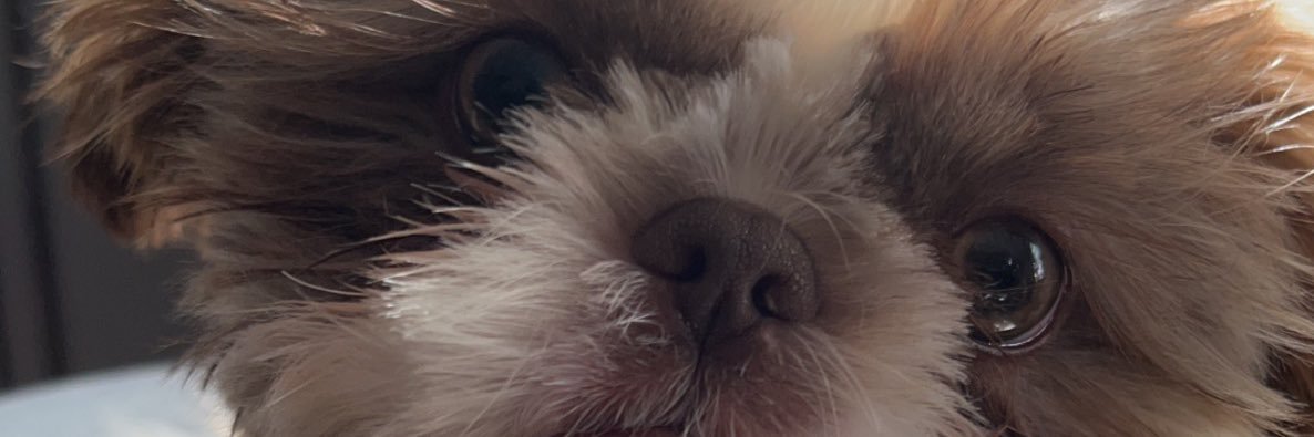 MarcusJordan6's profile banner image